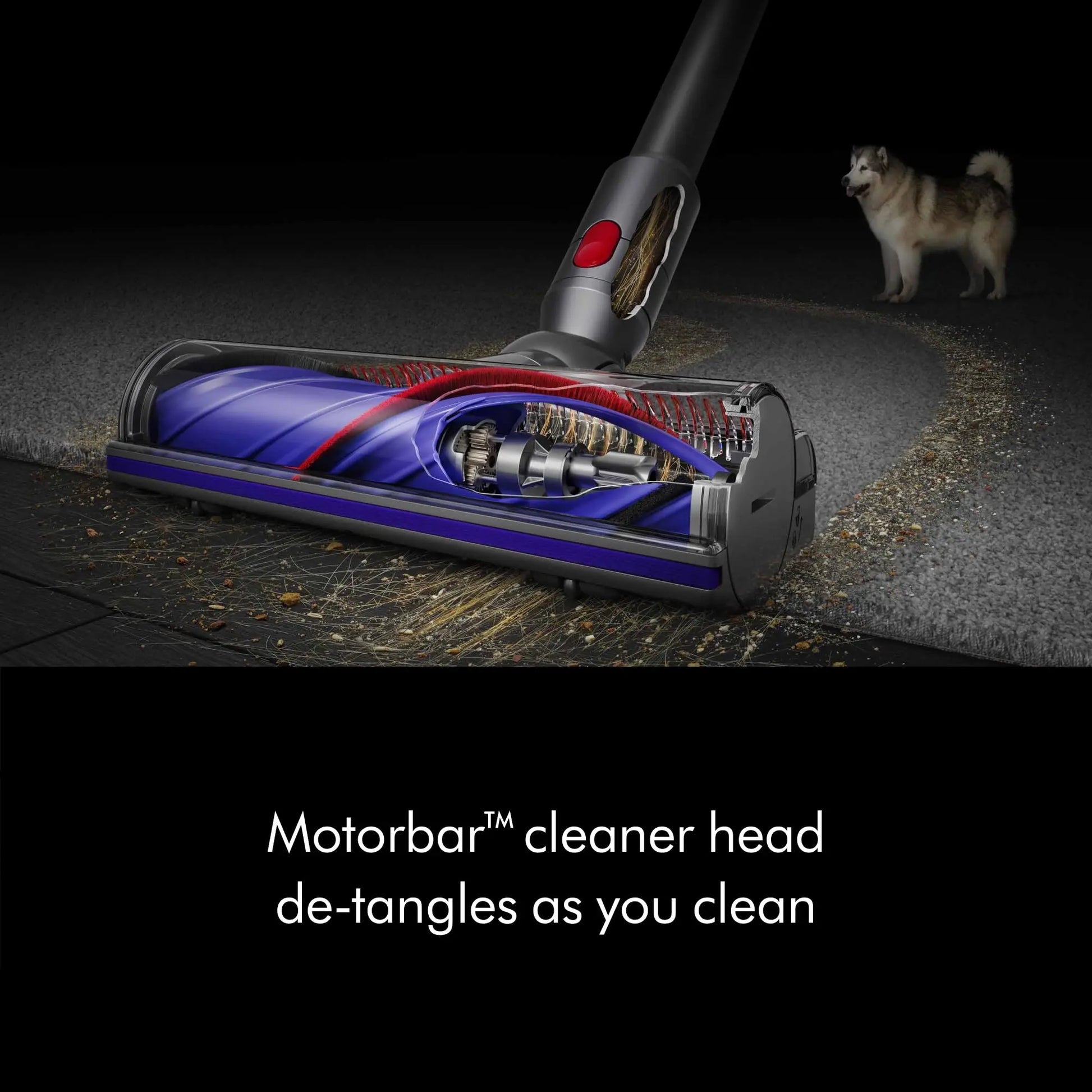 Dyson V8 Cordless Vacuum Cleaner - ANM Liquidation