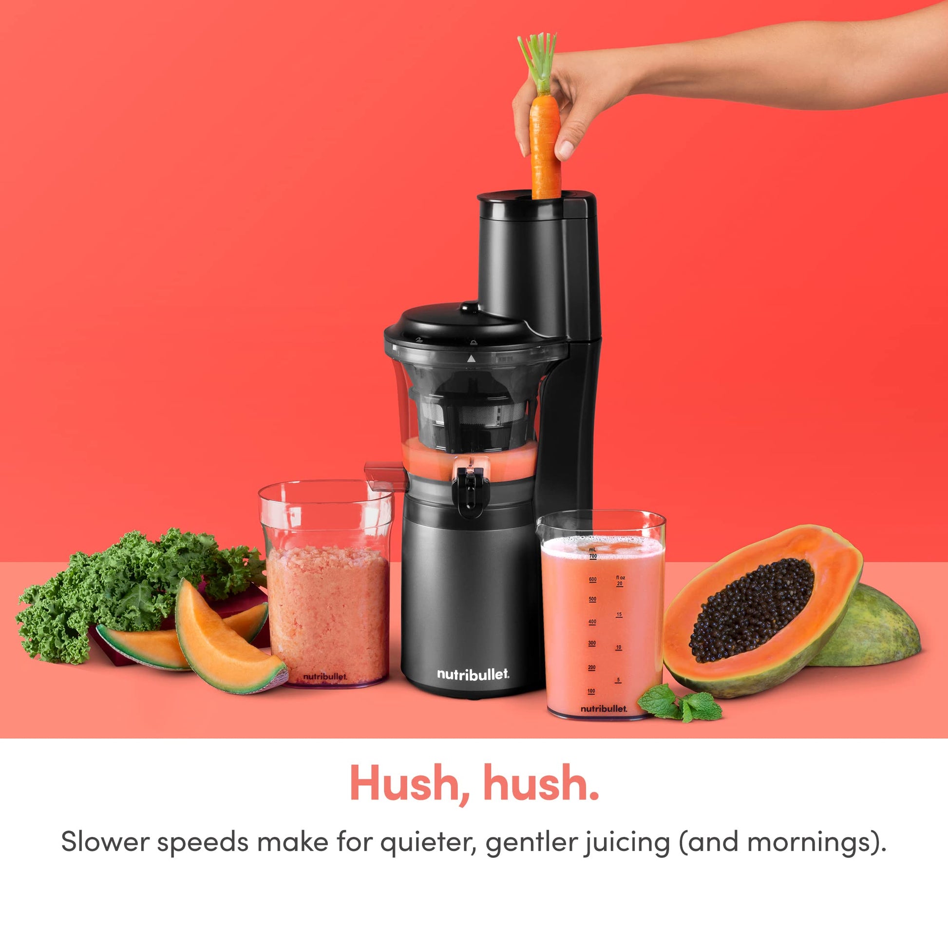 nutribullet Slow Juicer, Slow Masticating Juicer Machine, Easy to Clean, Quiet Motor & Reverse Function, BPA-Free, Cold Press Juicer with Brush, 150 Watts, Charcoal Black, NBJ50300, 24-oz ANM Liquidation