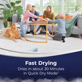 BISSELL Revolution HydroSteam Pet Carpet Cleaner, Upright Deep Cleaner, HydroSteam Technology, 2-in-1 Pet Upholstery Tool & Formulas Included, 3432 - ANM Liquidation