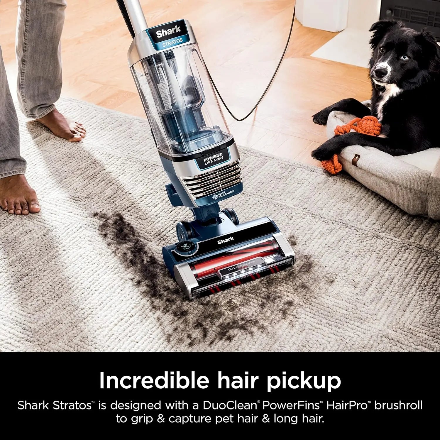 Shark AZ3002 Stratos Upright Vacuum with DuoClean PowerFins, HairPro, Powered Lift-Away, Self-Cleaning Brushroll, & Odor Neutralizer Technology, Navy - ANM Liquidation