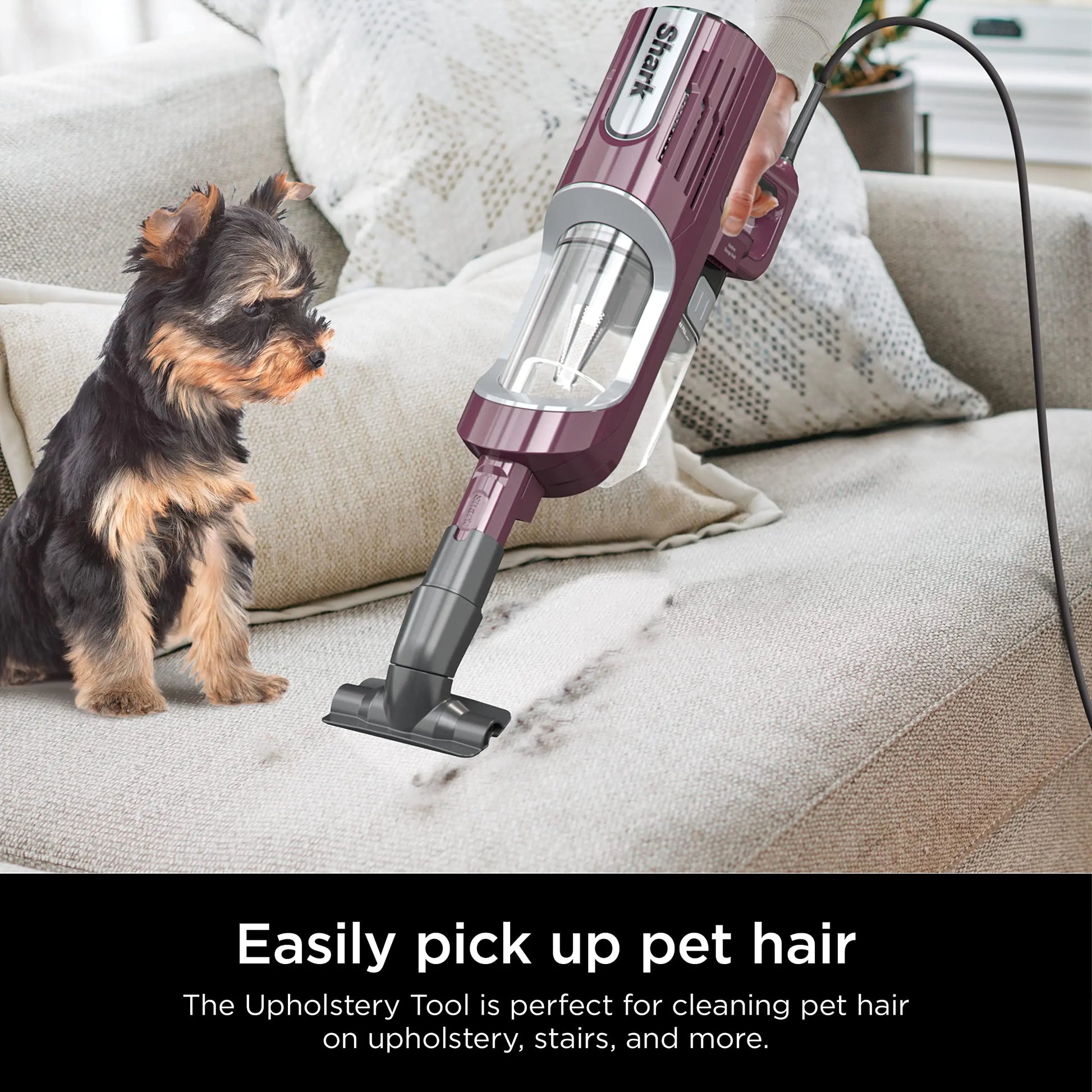 Shark HZ702 Ultralight PetPro Corded Stick Vacuum with PowerFins HairPro Odor Neutralizer Technology, Wine Purple, 0.37 L Capacity - ANM Liquidation