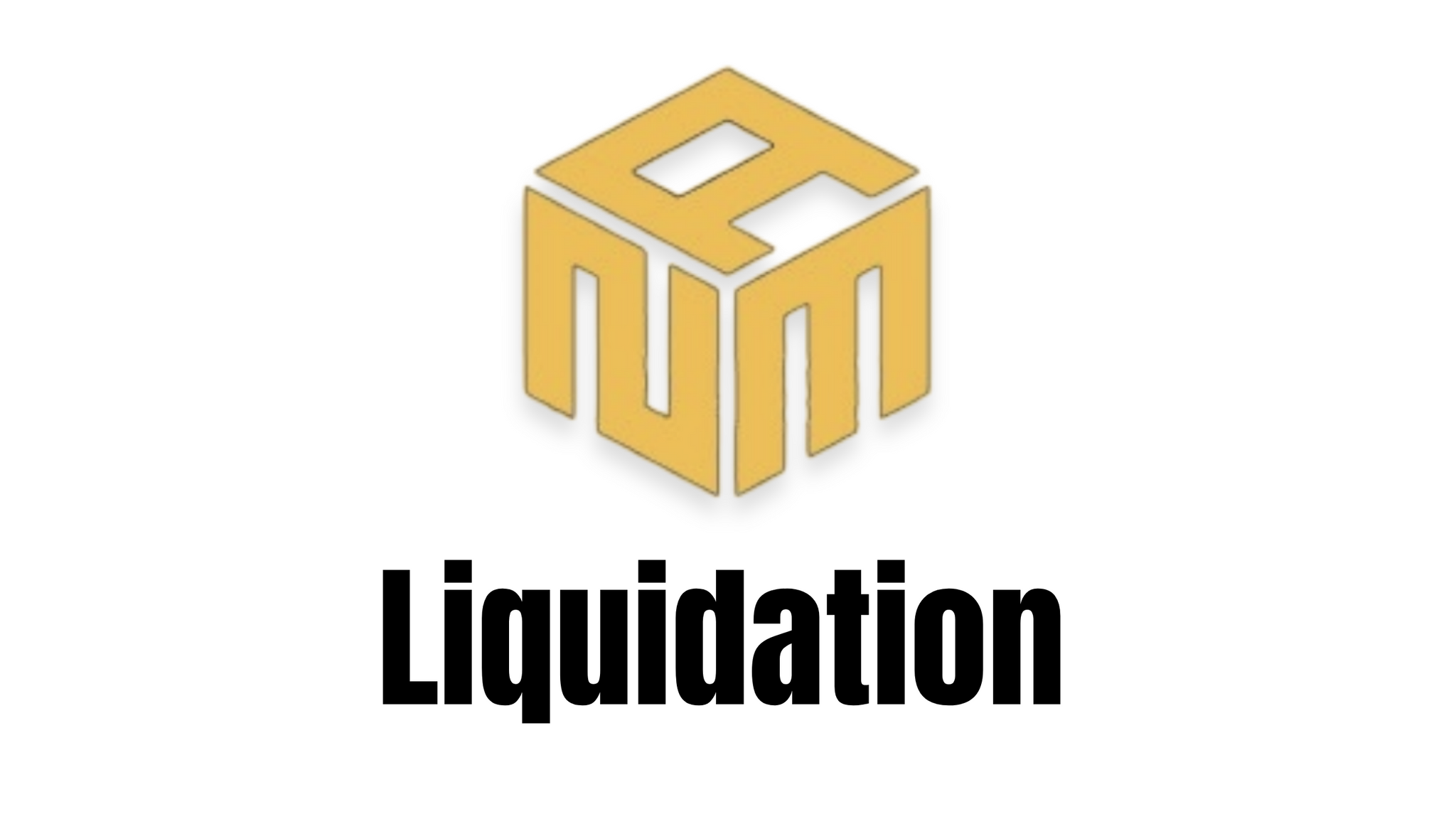 ANM Liquidation